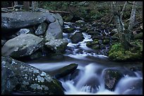 Roaring Fork River Cascades and boulders, Tennessee. Great Smoky Mountains National Park, USA. (color)