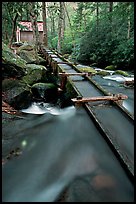 Flume to Reagan's Mill from Roaring Fork River, Tennessee. Great Smoky Mountains National Park, USA. (color)