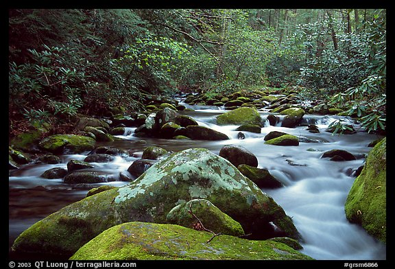 River cascading along mossy boulders, Roaring Fork, Tennessee. Great Smoky Mountains National Park (color)