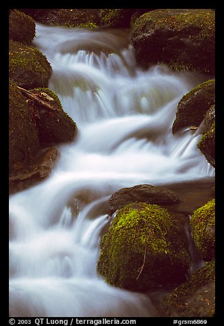 River Cascading, Roaring Fork, Tennessee. Great Smoky Mountains National Park, USA.