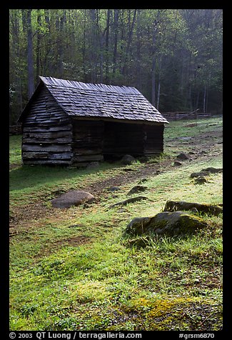 Cabin at Jim Bales place, early morning, Tennessee. Great Smoky Mountains National Park (color)