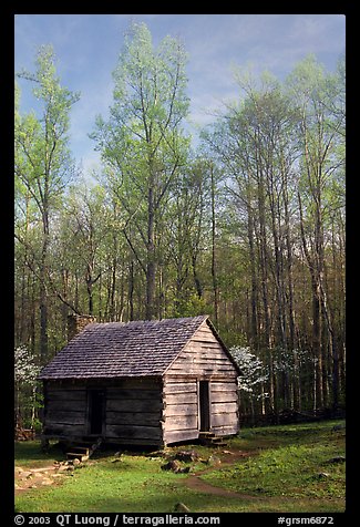 Historic log Cabin, Roaring Fork, Tennessee. Great Smoky Mountains National Park (color)