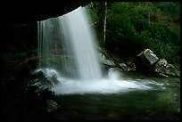 Grotto falls from behind, evening, Tennessee. Great Smoky Mountains National Park, USA. (color)