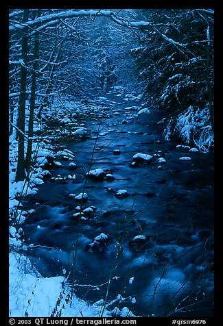 Creek and snowy trees in winter, Tennessee. Great Smoky Mountains National Park, USA.