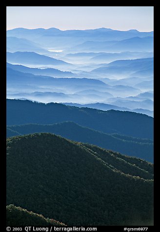 Hazy Ridges seen from Clingmans Dome, North Carolina. Great Smoky Mountains National Park (color)