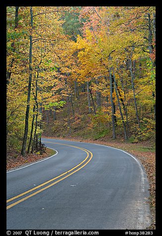 Road curve and fall colors on West Mountain. Hot Springs National Park, Arkansas, USA.