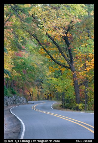 Rood curve, fall colors, West Mountain. Hot Springs National Park (color)
