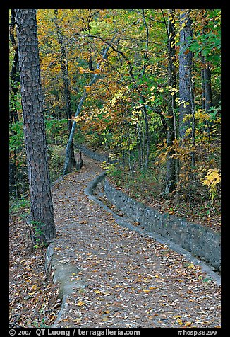 Built trail and fall colors, Hot Spring Mountain. Hot Springs National Park (color)