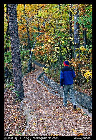 Hiker on trail amongst fall colors, Hot Spring Mountain. Hot Springs National Park (color)