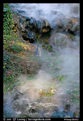 Steam rising from hot water cascade. Hot Springs National Park (color)