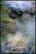 Steam rising from hot water cascade. Hot Springs National Park, Arkansas, USA. (color)