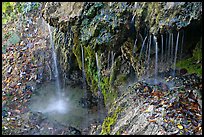 Hot water from springs flowing over tufa rock. Hot Springs National Park, Arkansas, USA. (color)
