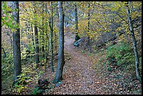 Trail and trees in fall colors, Gulpha Gorge. Hot Springs National Park, Arkansas, USA.
