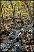 Boulders and trees in fall foliage, Gulpha Gorge. Hot Springs National Park, Arkansas, USA. (color)