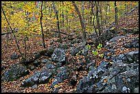 Boulders and trees in fall colors, Gulpha Gorge. Hot Springs National Park, Arkansas, USA.