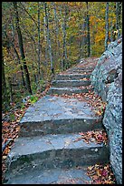 Stone steps on trail in forest with fall foliage, Gulpha Gorge. Hot Springs National Park, Arkansas, USA. (color)