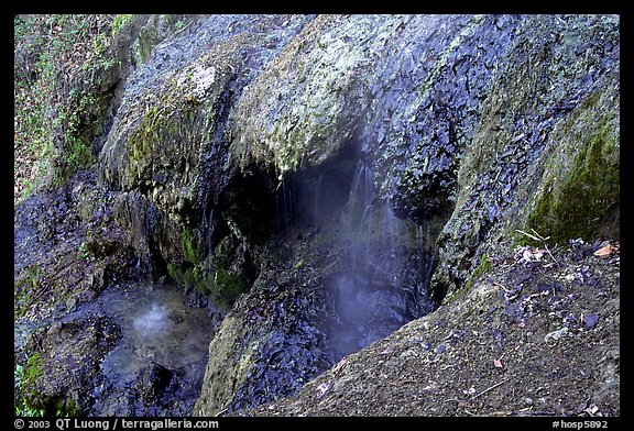 Cascade over tufa terrace. Hot Springs  National Park