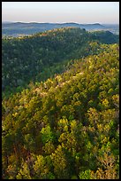 Forest in spring and North Mountain from Hot Springs Mountain Tower. Hot Springs National Park ( color)
