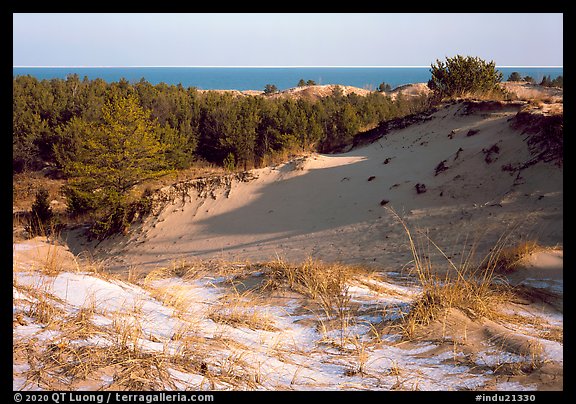 Dunes and Lake Michigan, Dune Succession Trail. Indiana Dunes National Park (color)