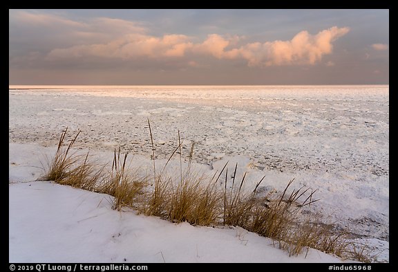 Dune grass, snow, and Frozen Lake Michigan, Mount Baldy Trail. Indiana Dunes National Park, Indiana, USA.