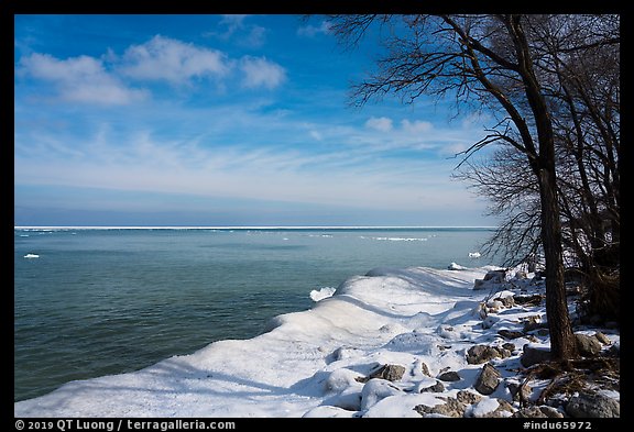 Trees on snowy lakeshore, Lake View. Indiana Dunes National Park, Indiana, USA.
