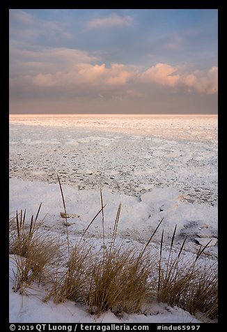 Picture/Photo: Dune grass and frozen Lake Michigan at sunrise. Indiana ...