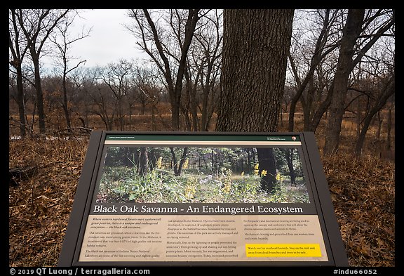Black Oak Savanna interpretive sign. Indiana Dunes National Park, Indiana, USA.