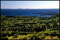 View from Mount Franklin. Isle Royale National Park, Michigan, USA. (color)
