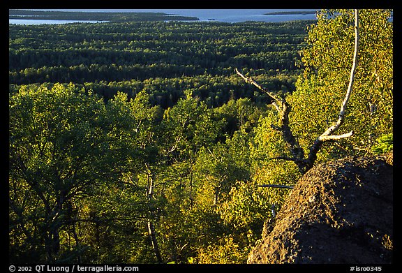 View over forests from Mount Franklin. Isle Royale National Park, Michigan, USA.