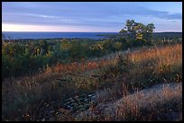 View from the Greenstone ridge. Isle Royale National Park, Michigan, USA.