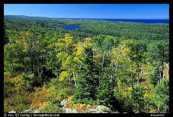Forested view with Sargent Lake and Lake Superior in the distance. Isle Royale National Park, Michigan, USA.