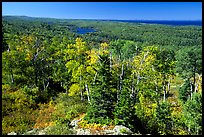Forested view with Sargent Lake and Lake Superior in the distance. Isle Royale National Park, Michigan, USA. (color)