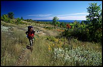 Backpacker walking on Greenstone ridge trail. Isle Royale National Park, Michigan, USA.
