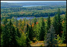 Lakes and forest from Mt Ojibway. Isle Royale National Park ( color)
