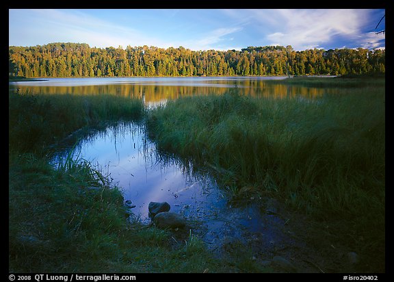 Grasses and East Chickenbone Lake. Isle Royale National Park, Michigan, USA.