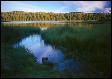 Grasses and East Chickenbone Lake. Isle Royale National Park, Michigan, USA.