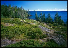 Rock Harbor lakeshore. Isle Royale National Park ( color)