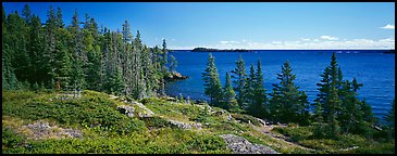 Lakeshore and trees. Isle Royale National Park (Panoramic color)