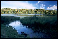 East Chickenbone Lake. Isle Royale National Park, Michigan, USA.