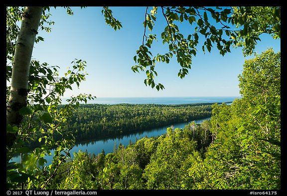 View from Louise Lookout framed by trees. Isle Royale National Park, Michigan, USA.
