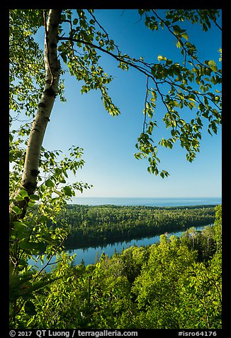 View from Louise Lookout in the summer. Isle Royale National Park (color)