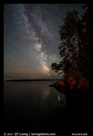 Milky Way and tall trees from Rock Harbor. Isle Royale National Park, Michigan, USA.