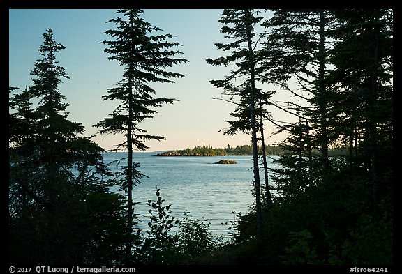 Islands through trees from Tookers Island, late afternoon. Isle Royale National Park, Michigan, USA.