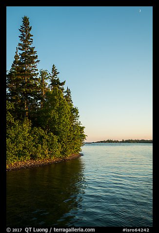 Trees growing at edge of water on Tookers Island. Isle Royale National Park (color)