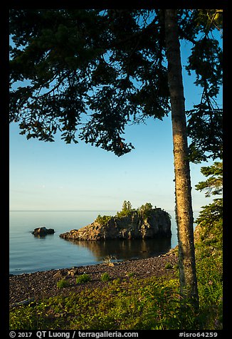 Tree, offshore islet, and Lake Superior, Mott Island. Isle Royale National Park, Michigan, USA.
