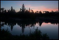 Tree ridge at sunset, Moskey Basin. Isle Royale National Park ( color)