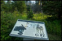Moose and wolves interpretive sign. Isle Royale National Park, Michigan, USA.
