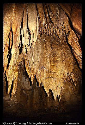Stalactites in the Frozen Niagara section. Mammoth Cave National Park (color)