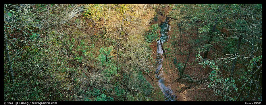 Forest and stream seen from above. Mammoth Cave National Park, Kentucky, USA.