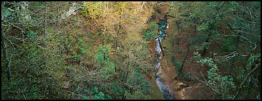 Forest and stream seen from above. Mammoth Cave National Park (Panoramic color)